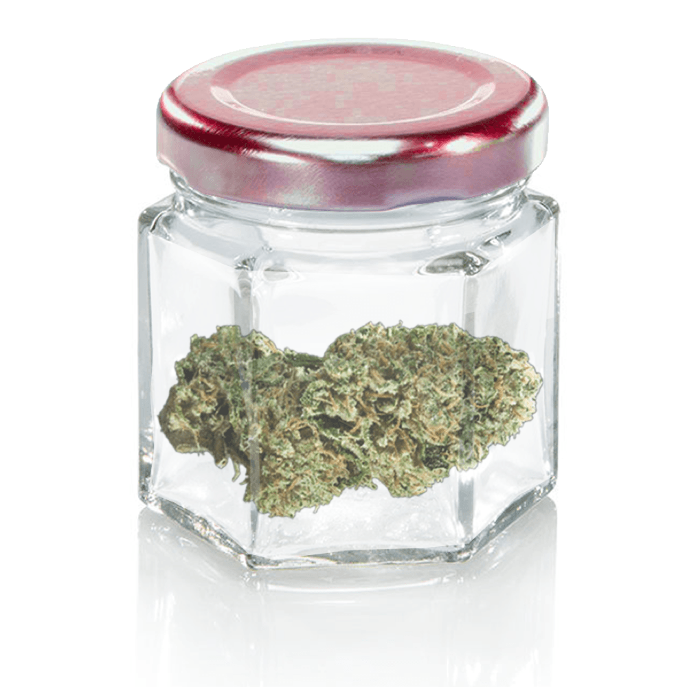 Tangie Ting