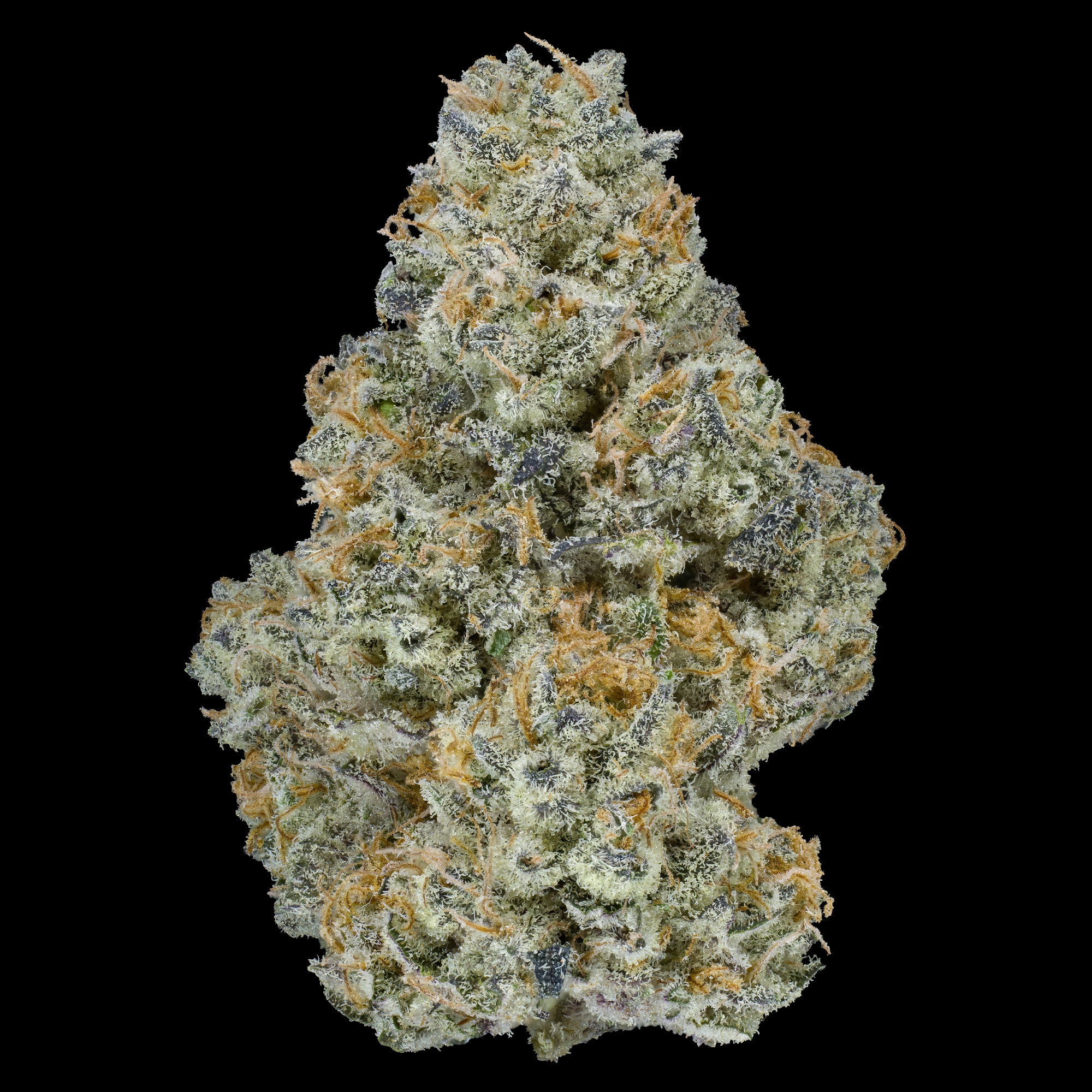 Yuzu MAC [1g]