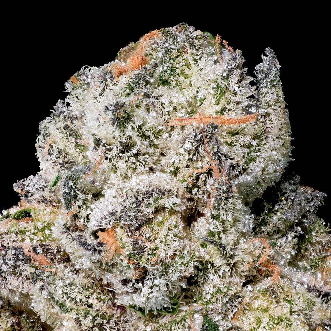 Ambrosia X Black Diamond X [1g]