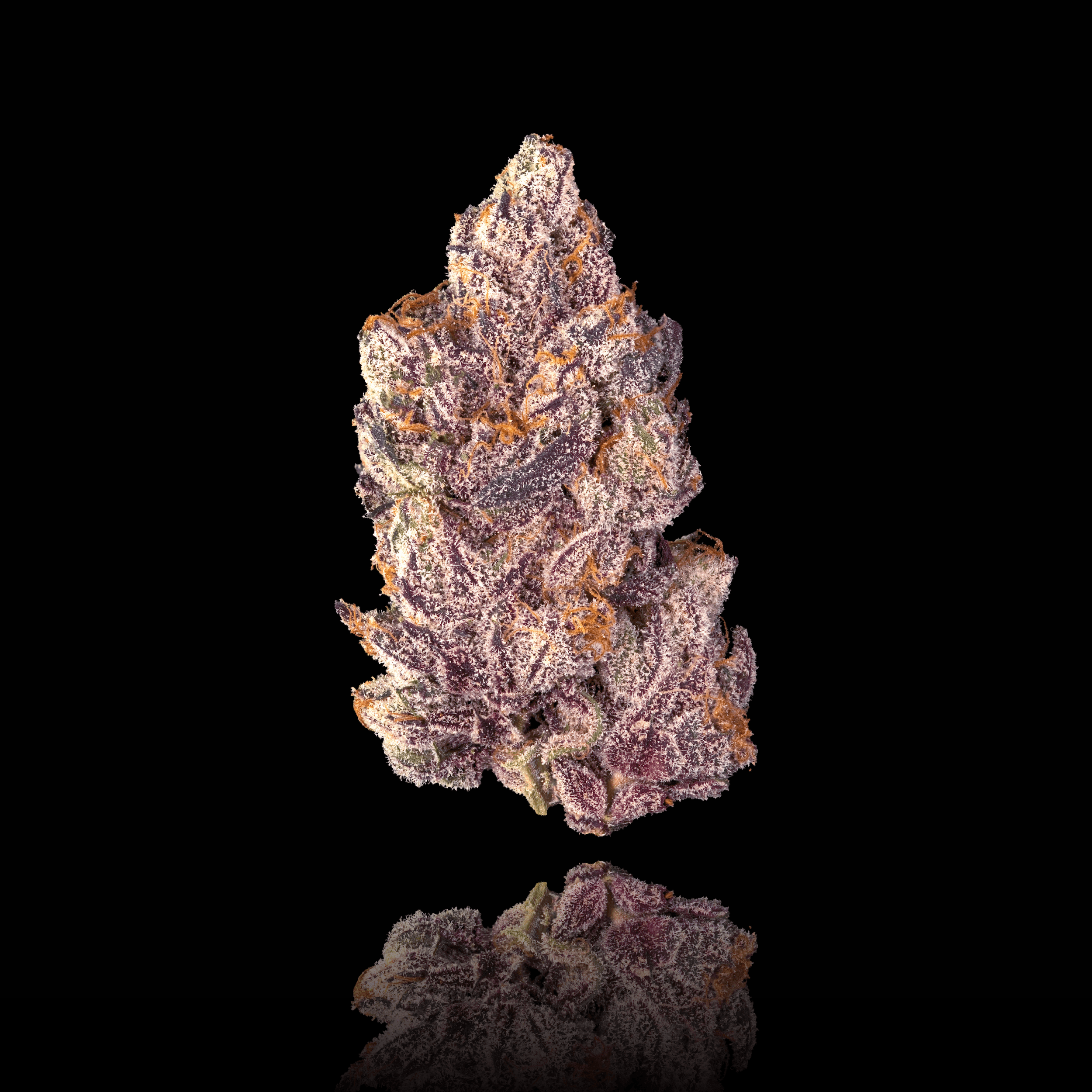 Opal