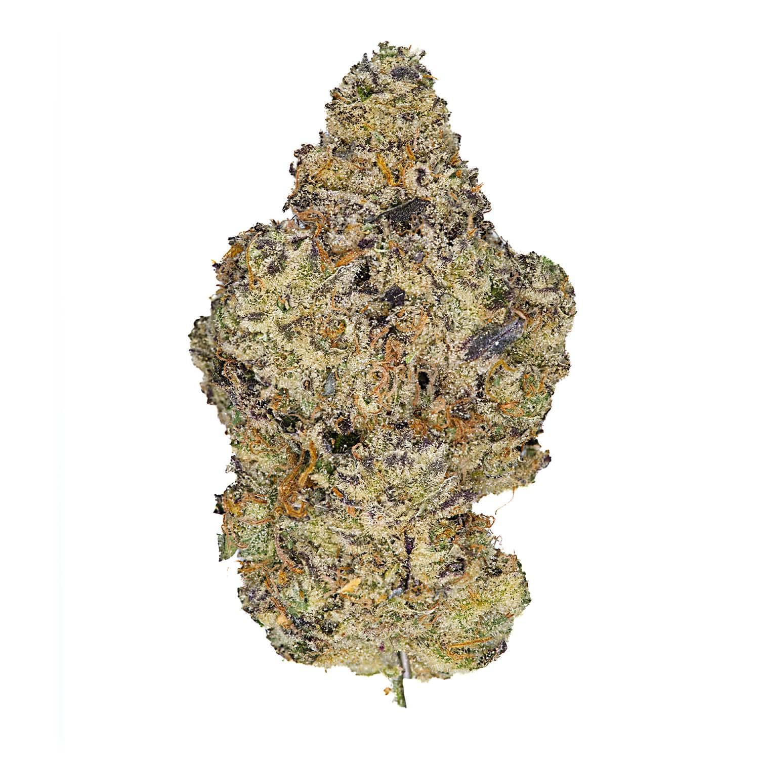 Cheetah Piss - 3.5g Top Shelf Indoor Flower