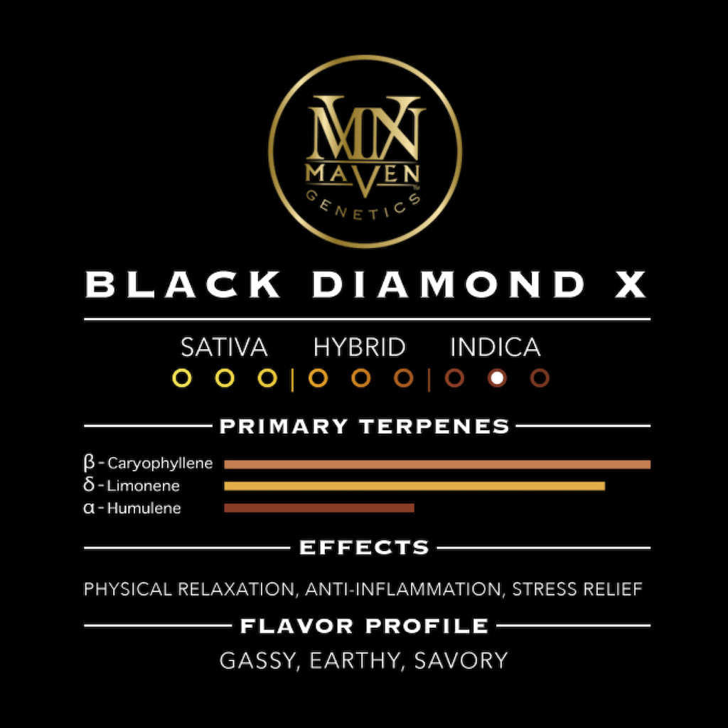 Ambrosia X Black Diamond X [1g]