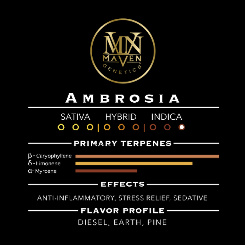 Ambrosia X Black Diamond X [1g]